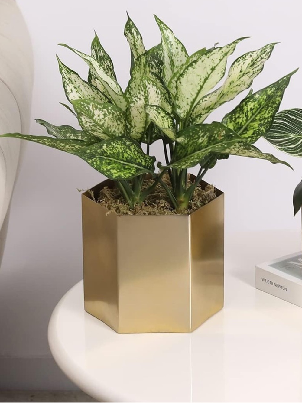 Gold Hexagonal Metal Planter - Modern Home Accent